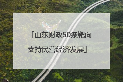 山东财政50条靶向支持民营经济发展