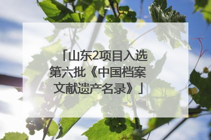 山东2项目入选第六批《中国档案文献遗产名录》