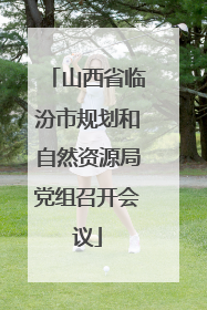 山西省临汾市规划和自然资源局党组召开会议