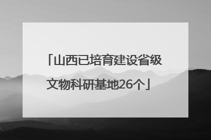 山西已培育建设省级文物科研基地26个