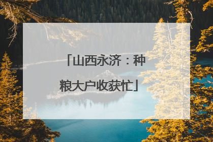山西永济：种粮大户收获忙