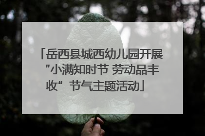 岳西县城西幼儿园开展“小满知时节 劳动品丰收”节气主题活动
