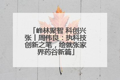 峰林聚智 科创兴张丨周伟良：执科技创新之笔，绘就张家界药谷新篇