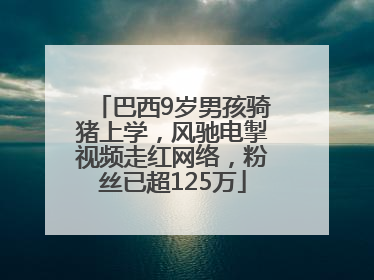 巴西9岁男孩骑猪上学，风驰电掣视频走红网络，粉丝已超125万