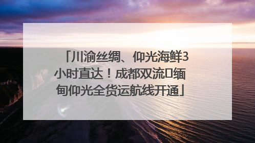 川渝丝绸、仰光海鲜3小时直达！成都双流⇌缅甸仰光全货运航线开通