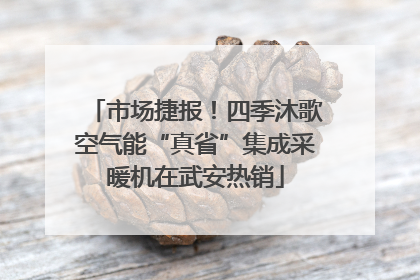 市场捷报！四季沐歌空气能“真省”集成采暖机在武安热销