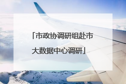 市政协调研组赴市大数据中心调研