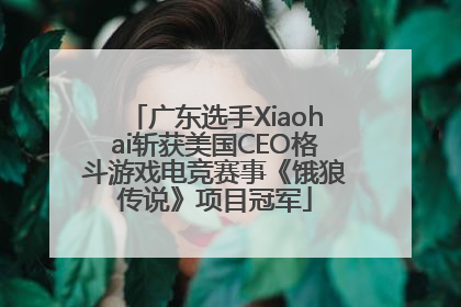 广东选手Xiaohai斩获美国CEO格斗游戏电竞赛事《饿狼传说》项目冠军