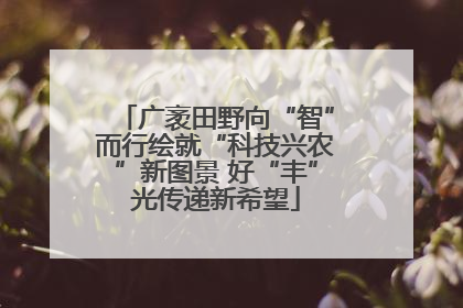 广袤田野向“智”而行绘就“科技兴农”新图景 好“丰”光传递新希望