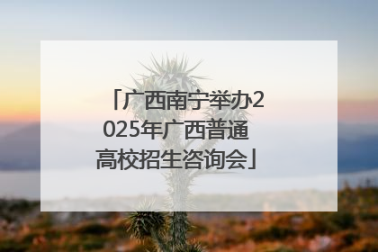 广西南宁举办2025年广西普通高校招生咨询会