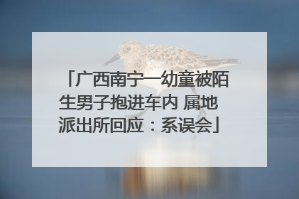 广西南宁一幼童被陌生男子抱进车内 属地派出所回应：系误会