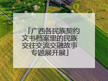 广西各民族契约文书档案里的民族交往交流交融故事专题展开展
