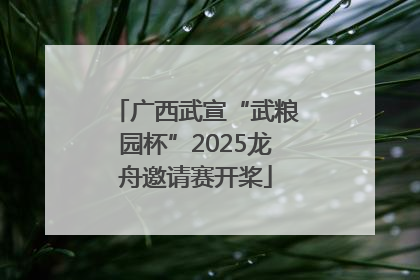 广西武宣“武粮园杯”2025龙舟邀请赛开桨