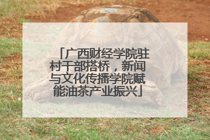 广西财经学院驻村干部搭桥，新闻与文化传播学院赋能油茶产业振兴