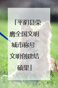 平阴县荣膺全国文明城市称号 文明创建结硕果