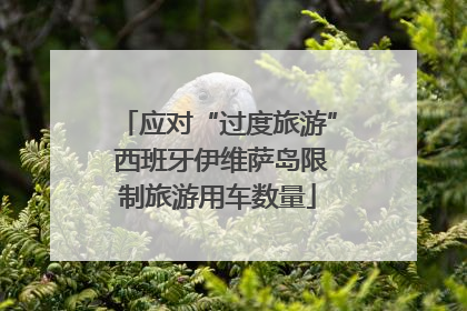应对“过度旅游” 西班牙伊维萨岛限制旅游用车数量