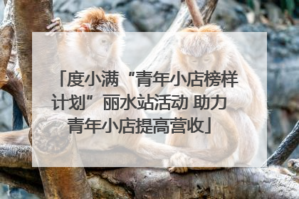 度小满“青年小店榜样计划”丽水站活动 助力青年小店提高营收