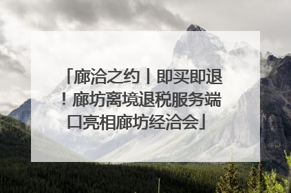 廊洽之约丨即买即退！廊坊离境退税服务端口亮相廊坊经洽会