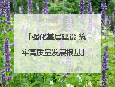 强化基层建设 筑牢高质量发展根基