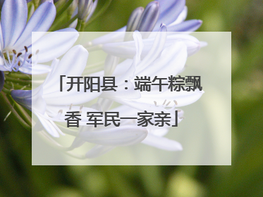 开阳县：端午粽飘香 军民一家亲