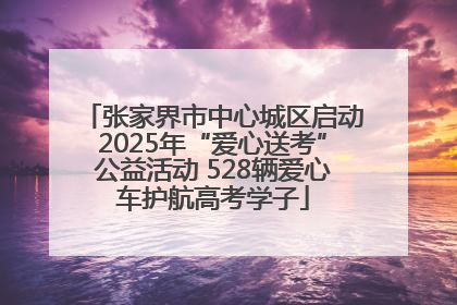 张家界市中心城区启动2025年“爱心送考”公益活动 528辆爱心车护航高考学子