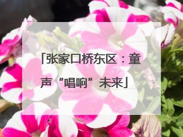 张家口桥东区：童声“唱响”未来