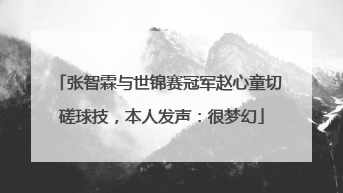 张智霖与世锦赛冠军赵心童切磋球技，本人发声：很梦幻