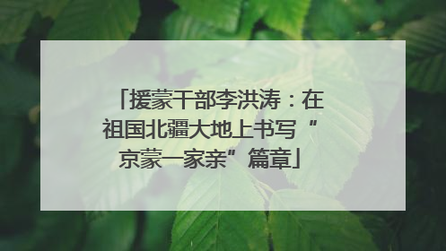 援蒙干部李洪涛：在祖国北疆大地上书写“京蒙一家亲”篇章