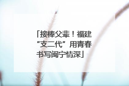 接棒父辈！福建“支二代”用青春书写闽宁情深