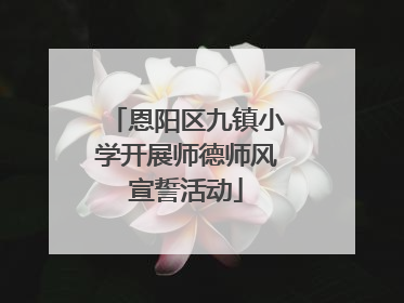 恩阳区九镇小学开展师德师风宣誓活动