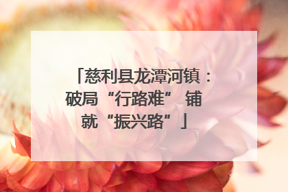慈利县龙潭河镇：破局“行路难” 铺就“振兴路”