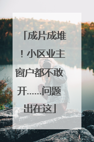 成片成堆！小区业主窗户都不敢开……问题出在这