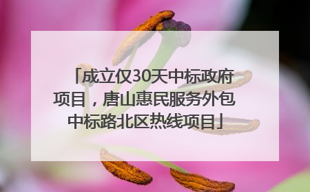 成立仅30天中标政府项目，唐山惠民服务外包中标路北区热线项目