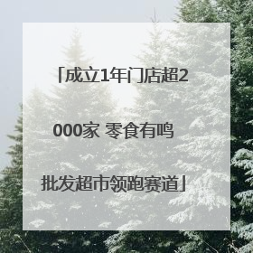 成立1年门店超2000家 零食有鸣批发超市领跑赛道