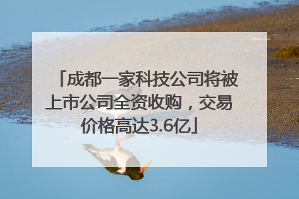 成都一家科技公司将被上市公司全资收购，交易价格高达3.6亿