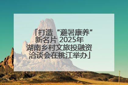 打造“避暑康养”新名片 2025年湖南乡村文旅投融资洽谈会在桃江举办