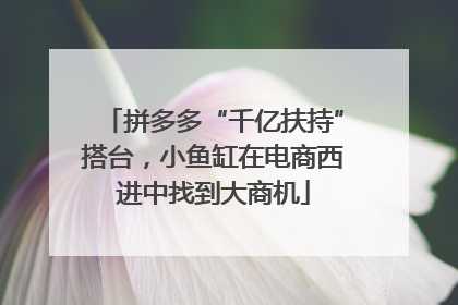 拼多多“千亿扶持”搭台，小鱼缸在电商西进中找到大商机