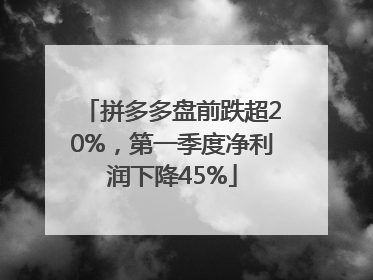 拼多多盘前跌超20%，第一季度净利润下降45%