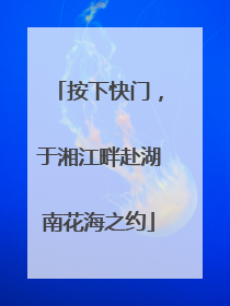 按下快门，于湘江畔赴湖南花海之约