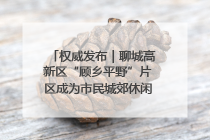 权威发布｜聊城高新区“顾乡平野”片区成为市民城郊休闲全新目的地