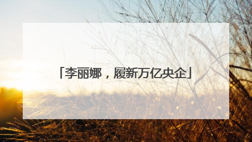 李丽娜，履新万亿央企