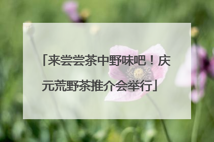 来尝尝茶中野味吧！庆元荒野茶推介会举行