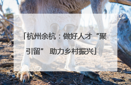 杭州余杭：做好人才“聚引留” 助力乡村振兴
