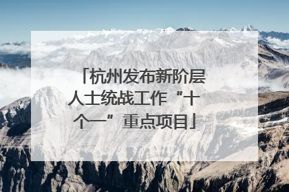杭州发布新阶层人士统战工作“十个一”重点项目