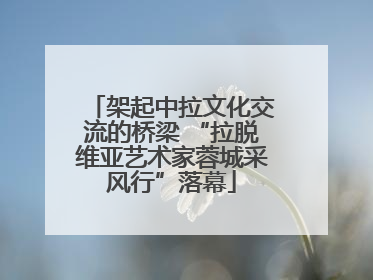 架起中拉文化交流的桥梁 “拉脱维亚艺术家蓉城采风行”落幕