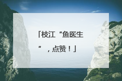 枝江“鱼医生”，点赞！