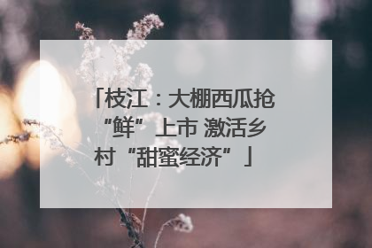 枝江：大棚西瓜抢“鲜”上市 激活乡村“甜蜜经济”