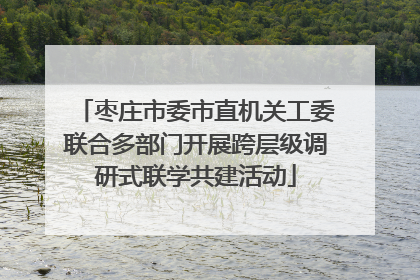 枣庄市委市直机关工委联合多部门开展跨层级调研式联学共建活动
