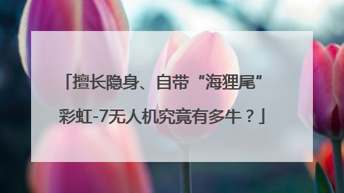 擅长隐身、自带“海狸尾” 彩虹-7无人机究竟有多牛？