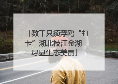 数千只须浮鸥“打卡”湖北枝江金湖 尽显生态美景
